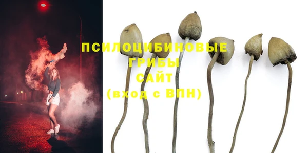 MESCALINE Рославль