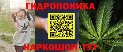 Альфа ПВП Беслан